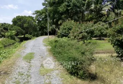 Scenic rural pathway surrounded by lush greenery and trees, ideal for nature lovers.