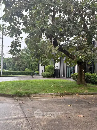 image_rental-27602155