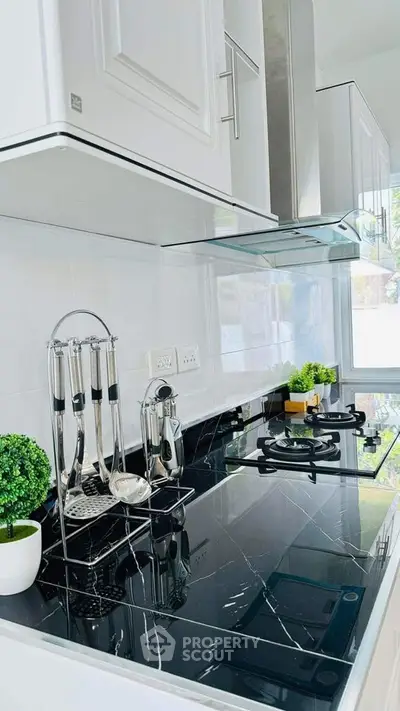 Modern kitchen with sleek black countertop and gas stove, featuring stylish utensils and greenery.