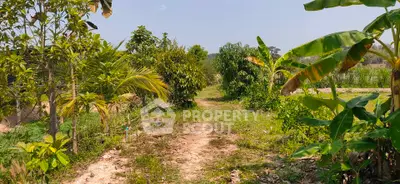 Lush green garden pathway surrounded by tropical plants and trees, perfect for nature lovers.