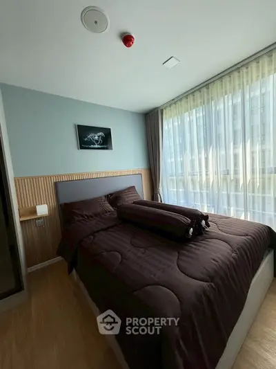 image_rental-29850382