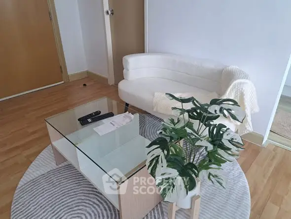 Cozy living room with modern white sofa and glass coffee table