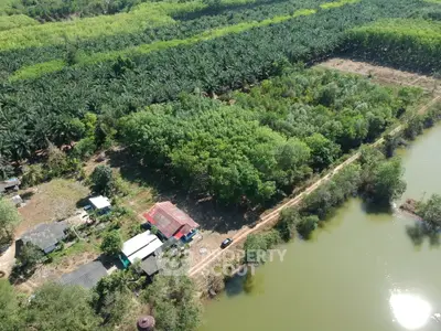 image_rental-30987645