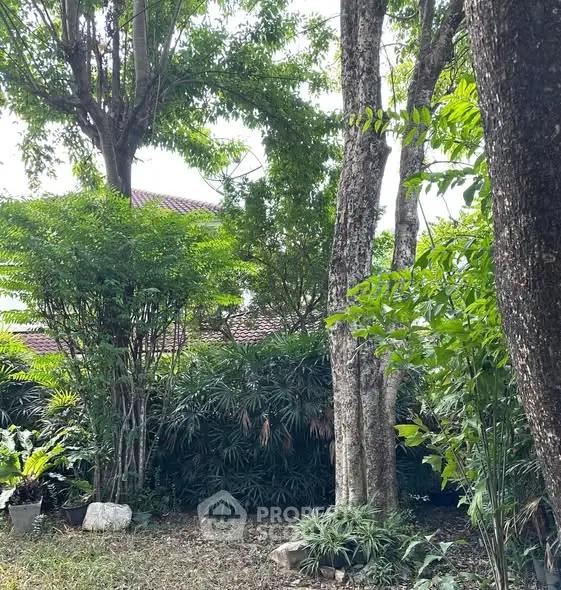 Lush garden view with mature trees and greenery, perfect for nature lovers.