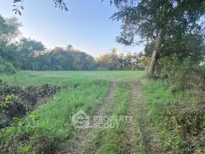 Expansive green land plot with lush trees, perfect for development or agriculture.