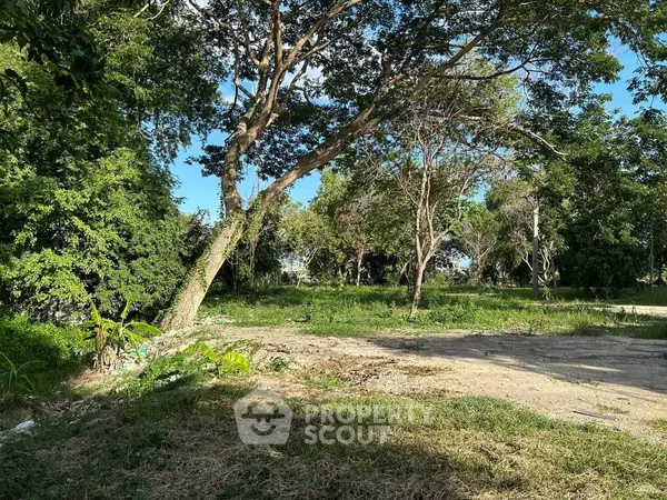 image_rental-29934971