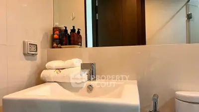 Modern bathroom with sleek sink and elegant toiletries