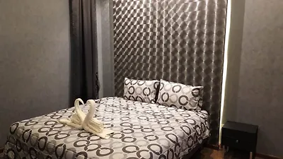 Cozy bedroom with modern decor and elegant bedding in a stylish apartment.