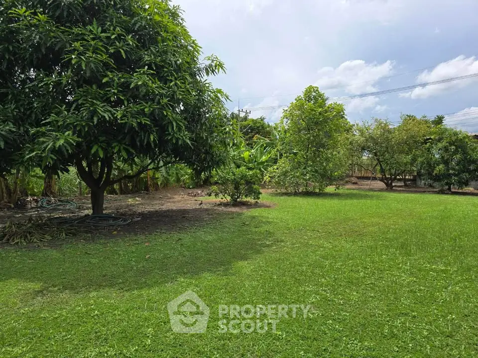 Spacious garden with lush greenery and mature trees, perfect for outdoor relaxation and activities.