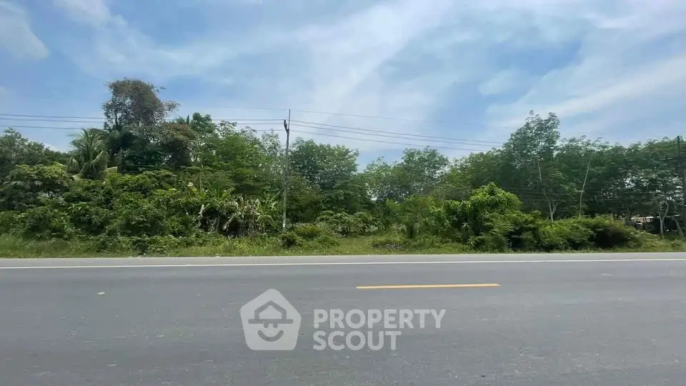 Expansive roadside land plot with lush greenery, ideal for development opportunities.