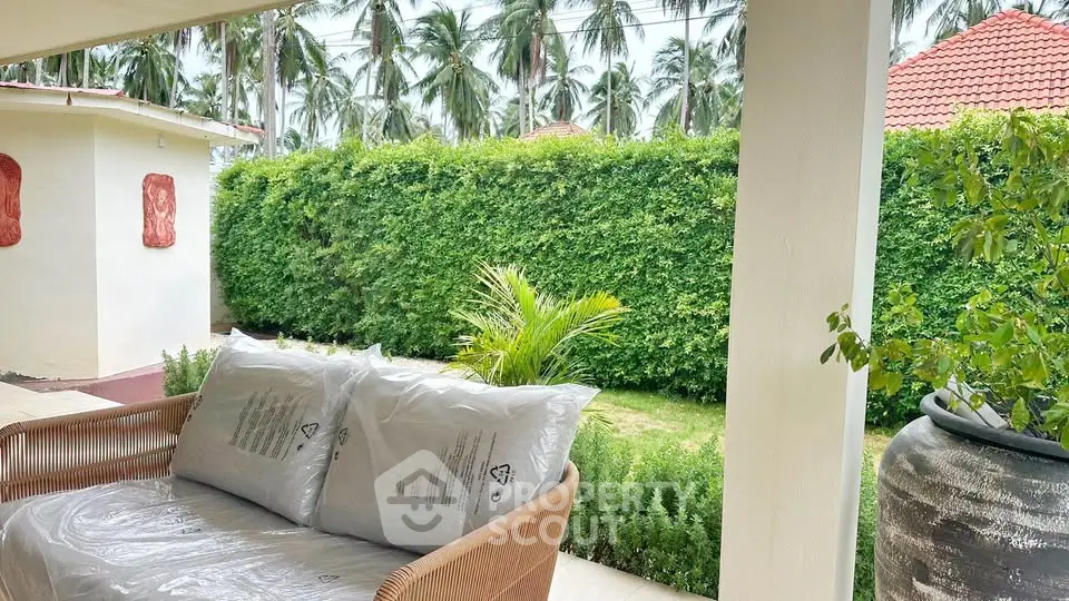 Charming tropical garden view from cozy patio with lush greenery and palm trees.