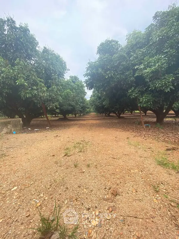 image_rental-28114062