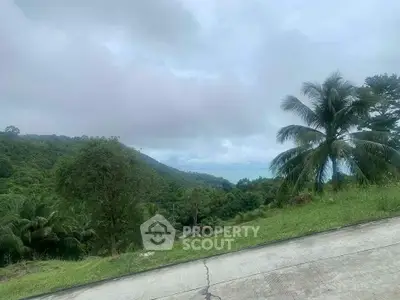 Scenic tropical landscape with lush greenery and ocean view, perfect for real estate development.