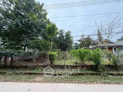 Spacious residential plot with lush greenery and potential for development.