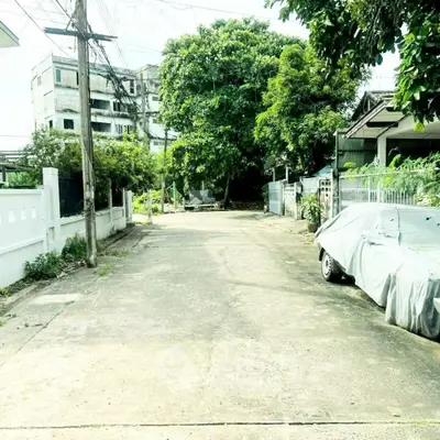 Quiet residential street with lush greenery and parked car, ideal for peaceful living.