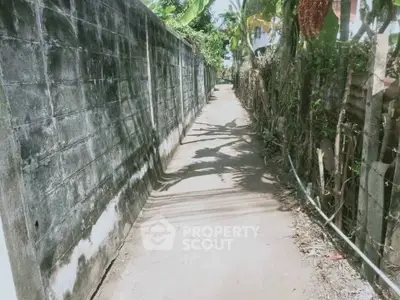 Narrow alleyway with concrete walls and lush greenery, perfect for serene walks.