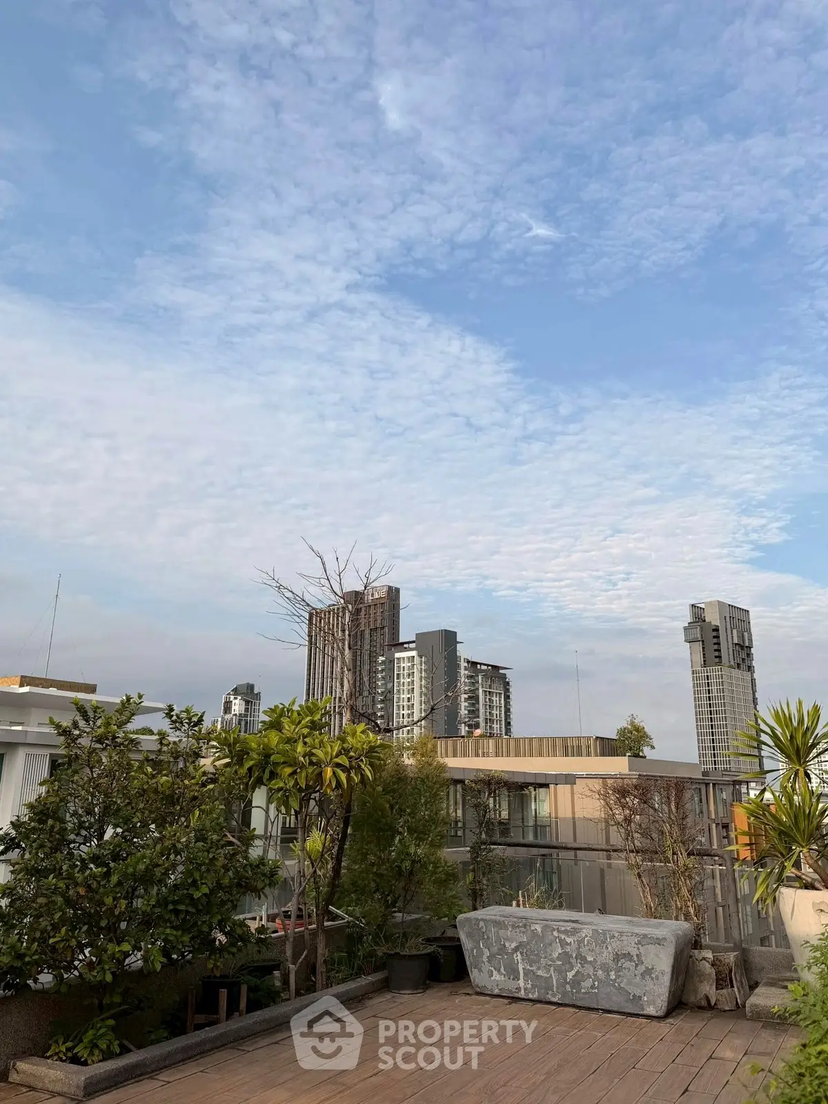 Stunning rooftop view with city skyline and lush greenery