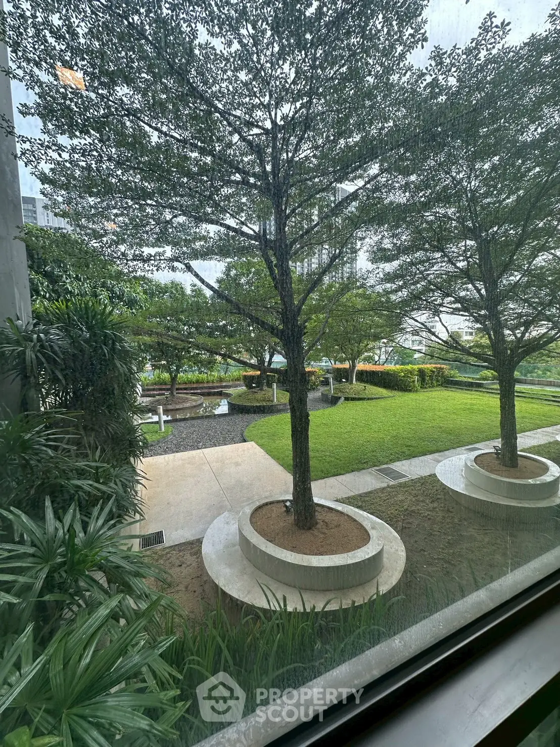 Lush garden view from a window showcasing landscaped greenery and modern outdoor design.