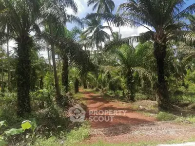 image_rental-30643593