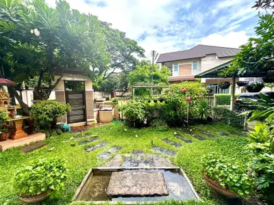 image_rental-31032849