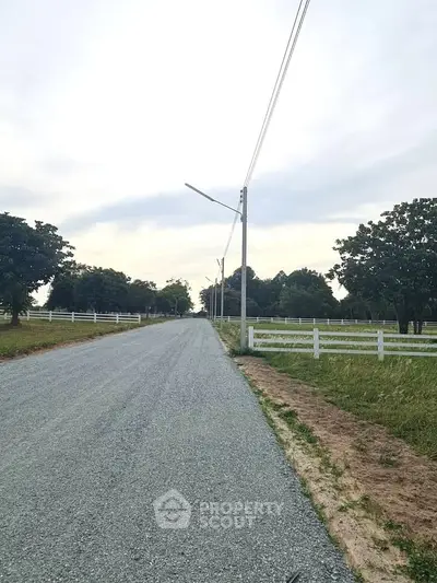Scenic rural road with lush greenery and white fences, perfect for tranquil living.
