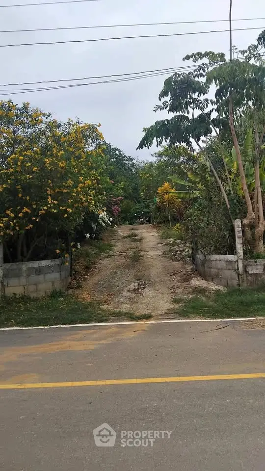 image_rental-29508834