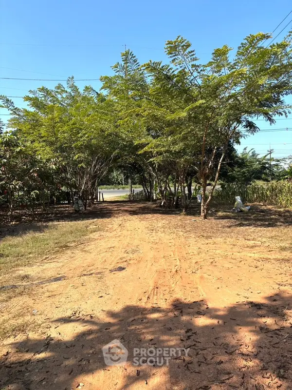 image_rental-25369627