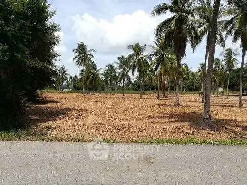 image_rental-10595425