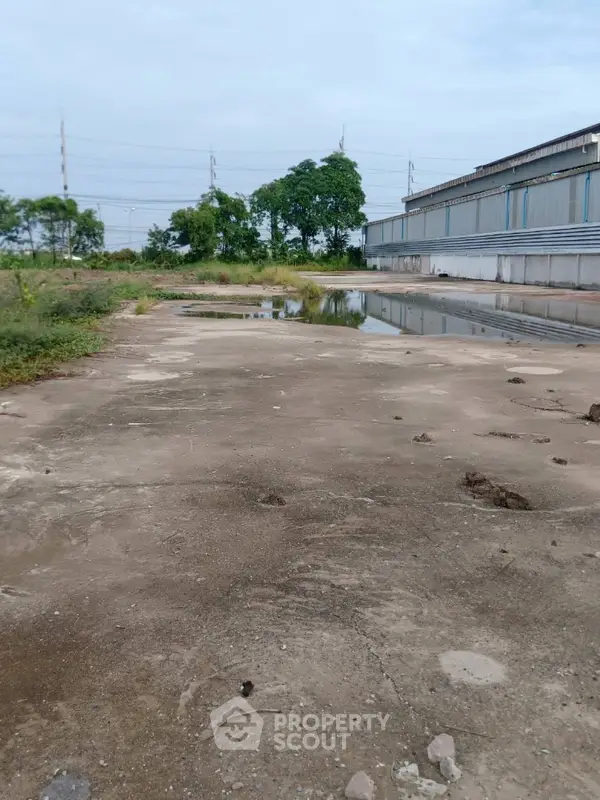 image_rental-19160053