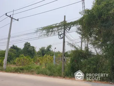 Scenic roadside view with lush greenery and power lines, ideal for real estate development.