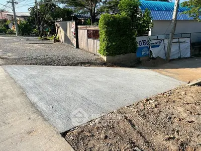 Newly paved driveway leading to a residential property with lush greenery and modern fencing.