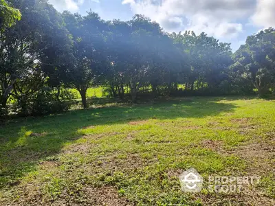 Lush green vacant land ready for development, surrounded by mature trees under a clear sky, perfect for a dream home or investment.