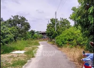 Scenic rural road with lush greenery and distant house view