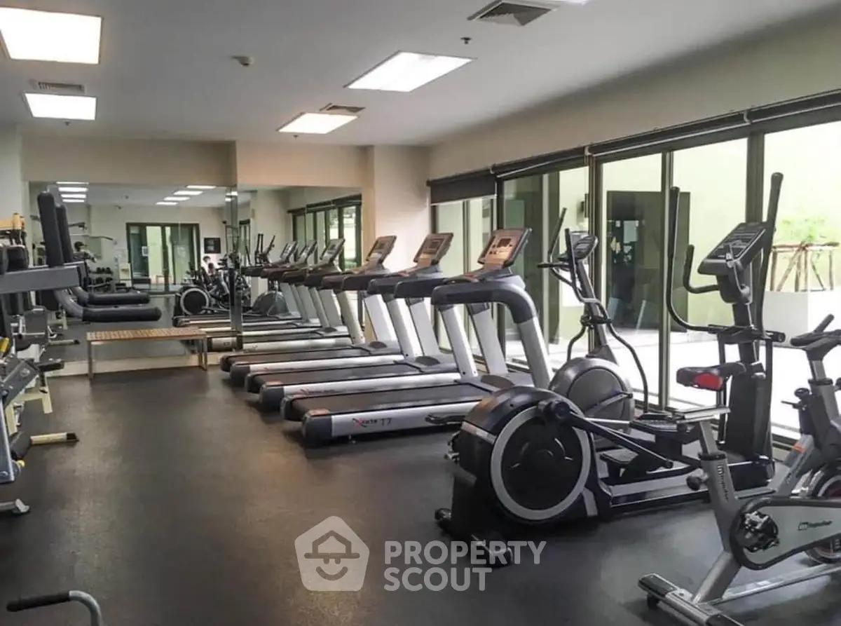 Modern gym with state-of-the-art fitness equipment and large windows for natural light.