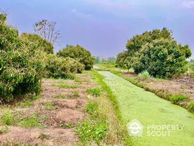 Lush green agricultural land with trees and a serene waterway, perfect for farming or development.