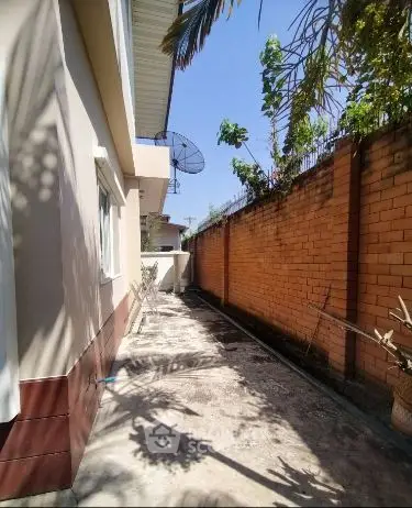 dv.JPG