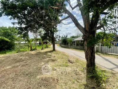 Spacious plot of land with lush greenery and road access, ideal for development.