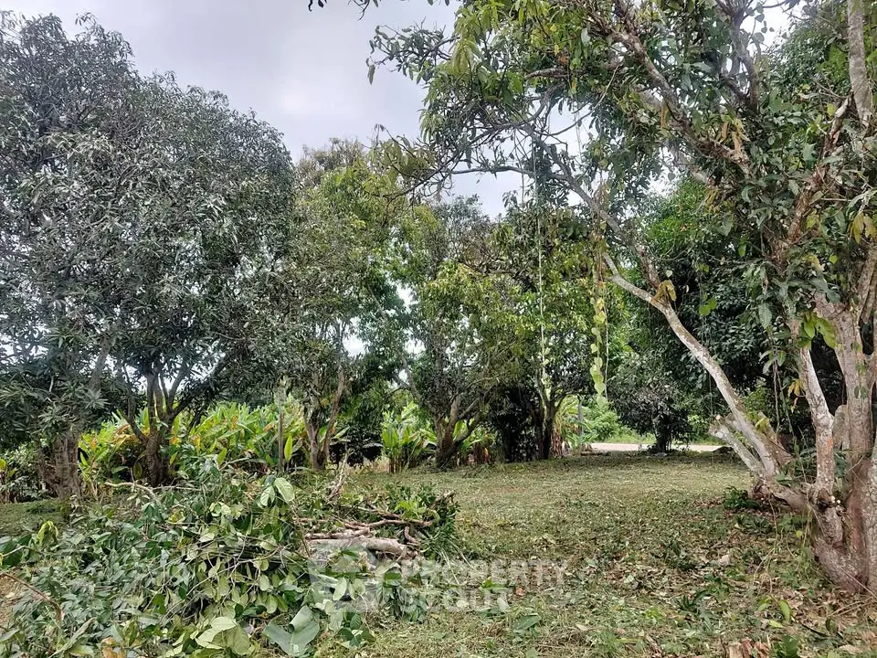 Lush garden area with mature trees and trimmed greenery, perfect for landscaping potential.