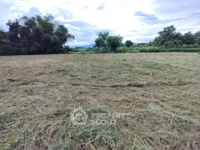 Expansive vacant land with lush greenery and open sky, ideal for development.