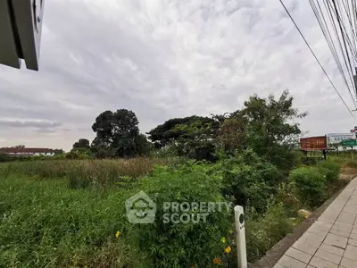 image_rental-28594318