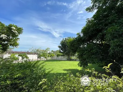 Spacious green garden with lush trees under a clear blue sky, perfect for outdoor activities.