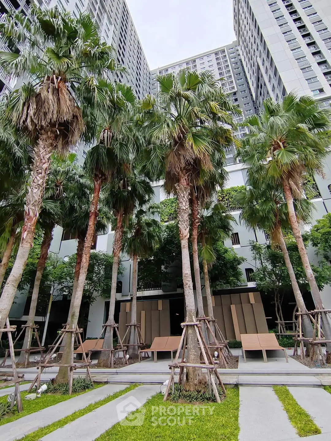 Luxurious urban garden with tall palm trees and modern high-rise buildings