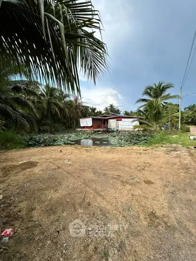 Charming rustic property surrounded by lush palm trees and serene pond, perfect for nature lovers seeking tranquility.