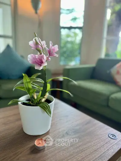 image_rental-27374952