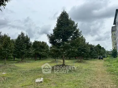 Expansive garden view with lush trees and open sky, perfect for nature lovers.