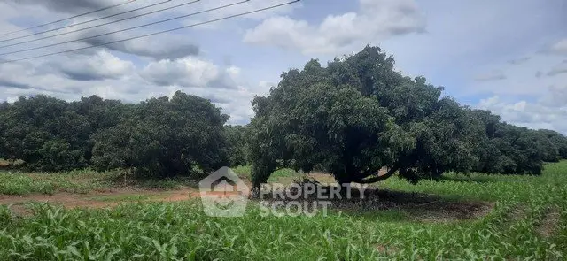 Expansive agricultural land with lush greenery and mature trees under a clear sky.