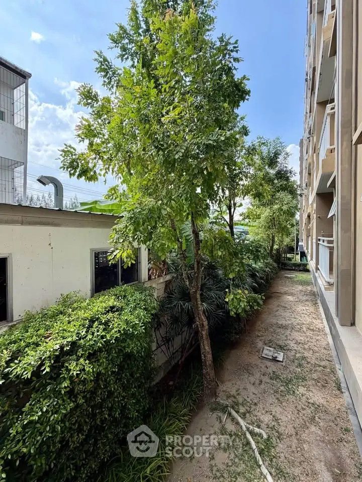 Charming garden view beside modern apartment building with lush greenery