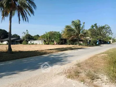 Scenic rural road with palm trees and open land, perfect for development.