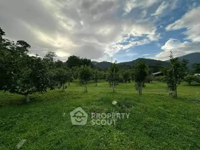 Lush green garden with fruit trees and scenic mountain backdrop