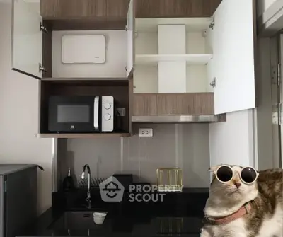 Modern kitchen with microwave, sleek cabinets, and stylish decor